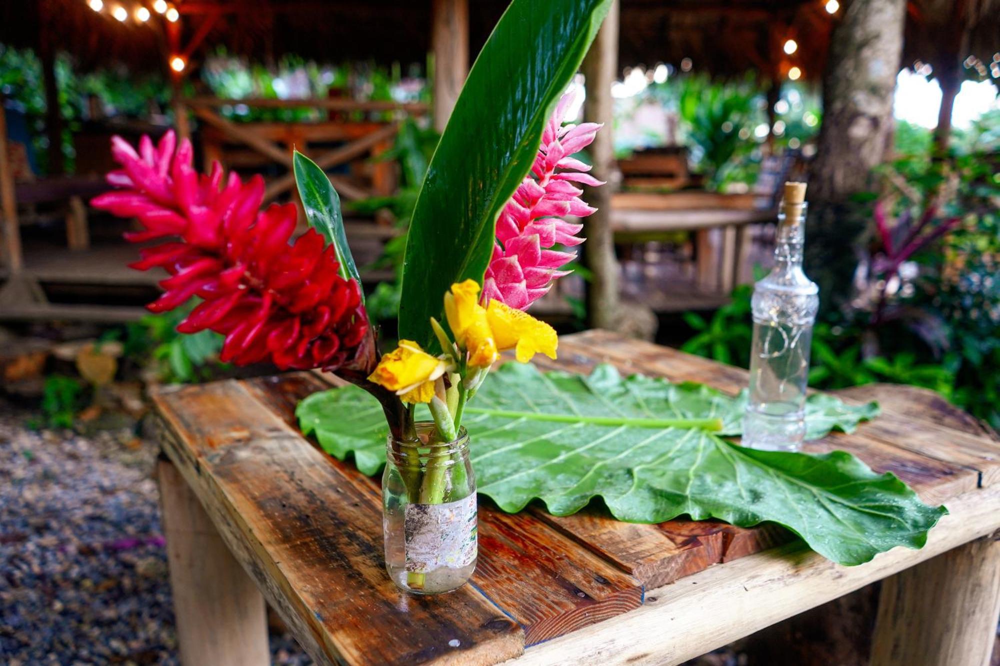 Samana Ecolodge Эль-Лимон Экстерьер фото